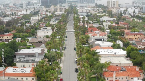 Pullback shot of Beverly Hills California top down view of palm trees and homes
