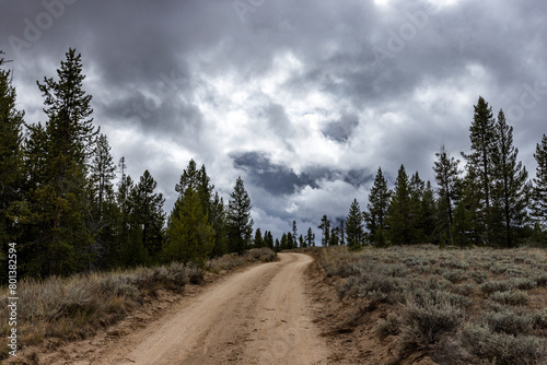 USA, Idaho, Dirt road leads through Sawtooth National Forest on cloudy day photo