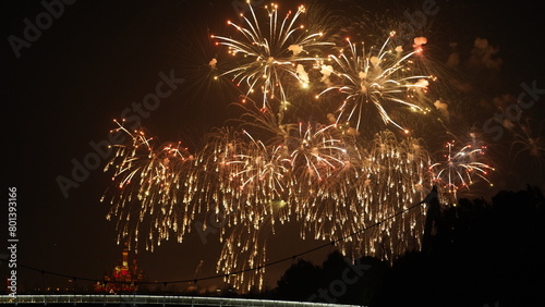 The colorful and beautiful fireworks show with the dark sky as background at night