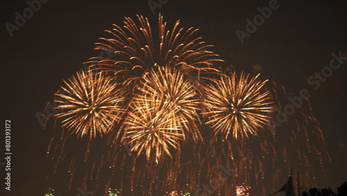 The colorful and beautiful fireworks show with the dark sky as background at night