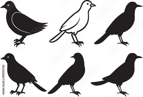 Set of birds in doodle style. Hand drawn illustration. © Rony