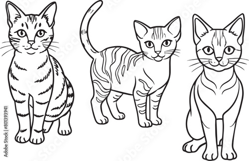 set of cats outline  isolated on white background
