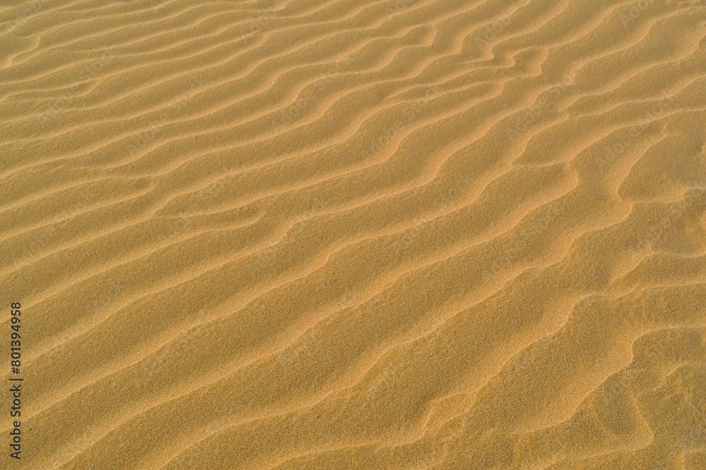 sand beach dunes in the summer sundown. tropical dry sand background. sand ripples in the desert sand beach dunes in the summer sundown. tropical dry sand background. sand ripples in the desert
