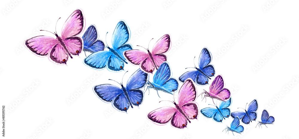 The Swarm of pigeon butterflies watercolor The Swarm of pigeon butterflies watercolor