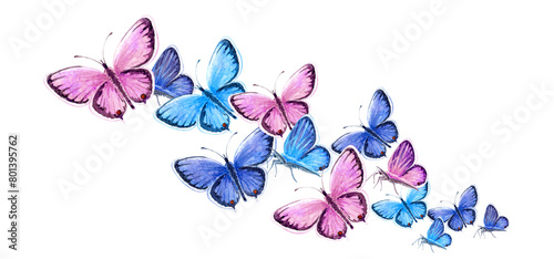 The Swarm of pigeon butterflies watercolor © ARTBRUSH