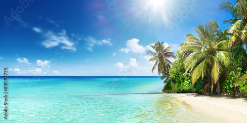 Beautiful tropical beach with white sand, palm trees, turquoise ocean against blue sky with clouds on sunny summer day, Maldives.