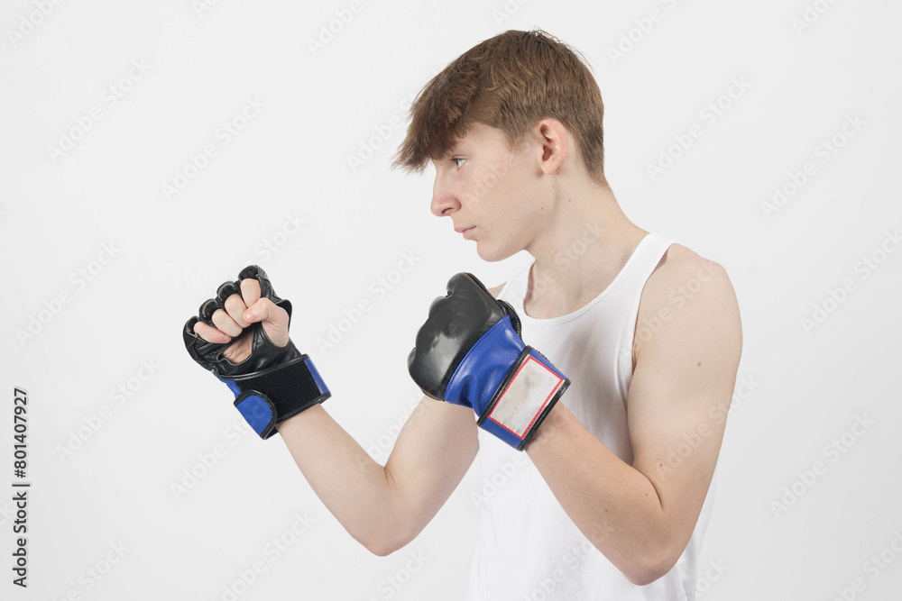 A Teenager Boxer