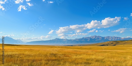 Expansive view of a sunny grassland with mountains in the distance under a clear blue sky.