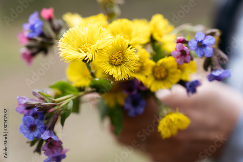 spring flowers in hands. High quality photo