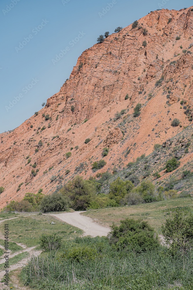 Naklejka premium landscape in the mountains