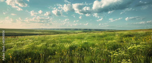 Verdant meadows stretch to the horizon, a patchwork quilt of emerald hues beneath an endless sky. photo