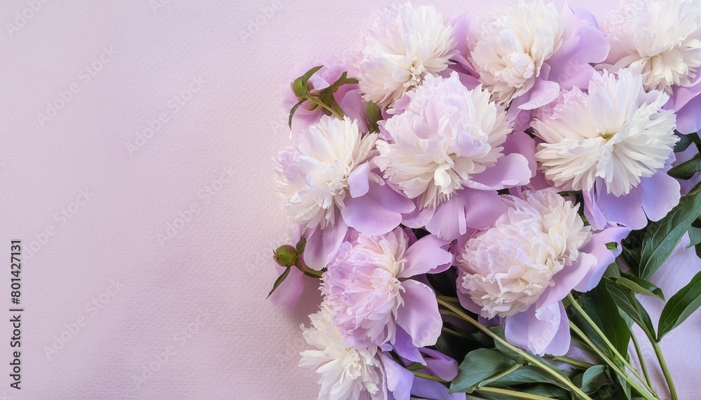 festive bouquet of delicate peonies in pastel colors background for a holiday card or invitation blooming spring banner lilac peonies top view