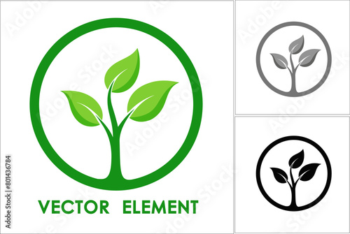 Vector. Set of icons on an environmental theme. Three options: color, grayscale, black and white. Green leaf  illustration nature logo design ecology template