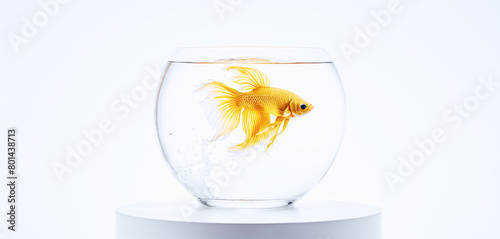illustrazione di pesce ornamentale in boccia di vetro con acqua limpida photo