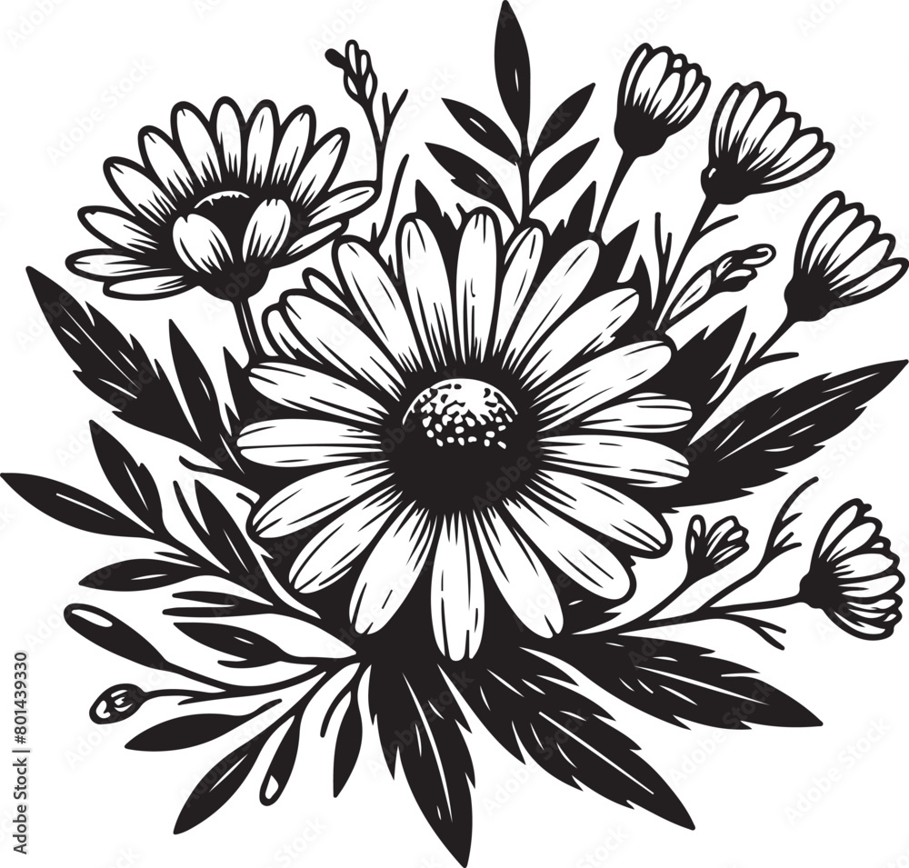 black and white daisy black and white daisy