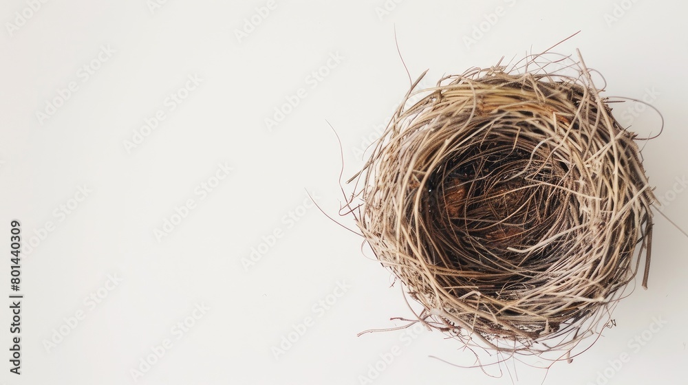 Obraz premium Whispers of Nature: Delicate Birds Nest Perched on Pure White