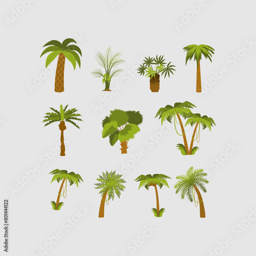 set of palm trees