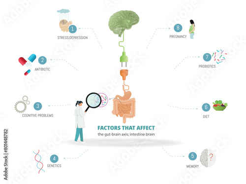 A diagram of the bi-directional brain-gut axis.relationship between the brain and the gut-stomach.factors influencing the brain-gut axis.