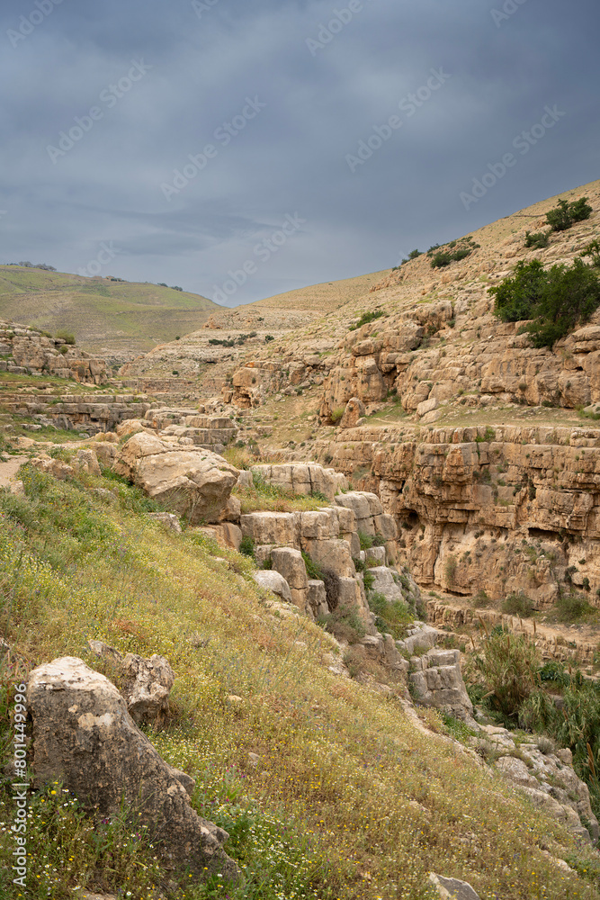 A Landscape on the Bank of the Prat Stream, Israel A Landscape on the Bank of the Prat Stream, Israel