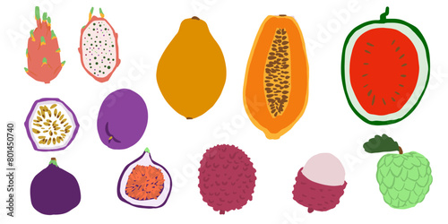 Sweet fruits. Vector cartoon flat set. Passion fruit, lychee, papaya, watermelon, fig, dragon fruit, custard apple set.