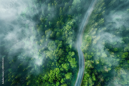 An aerial shot of a secluded road cutting through a dense forest shrouded in mist.
