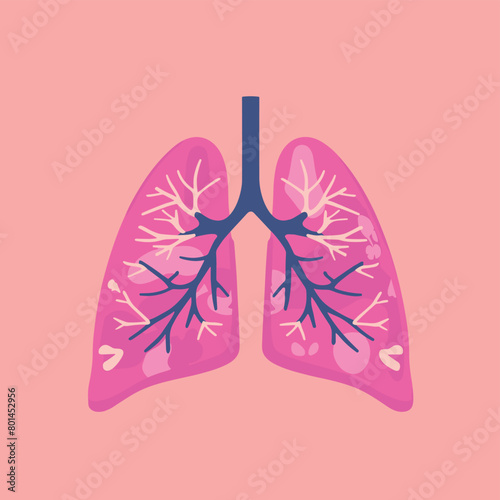Illustration of human lungs in pink tones with detailed bronchial structure.