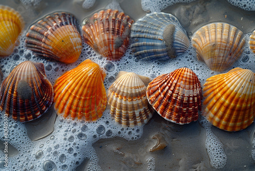 Seashells scattered along the shoreline as the tide recedes, leaving intricate patterns in the sand. photo