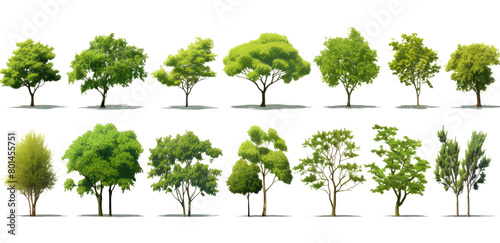 A collection of trees in various sizes and shapes photo