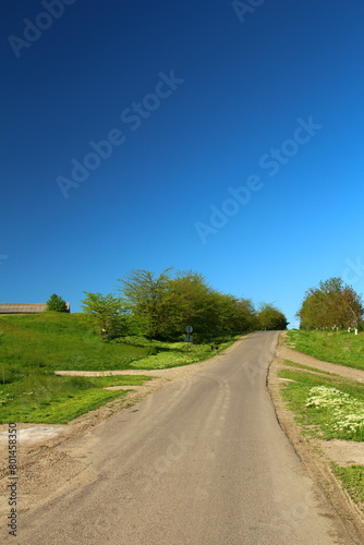 Obraz na płótnie A road with grass and trees on the side w salonie