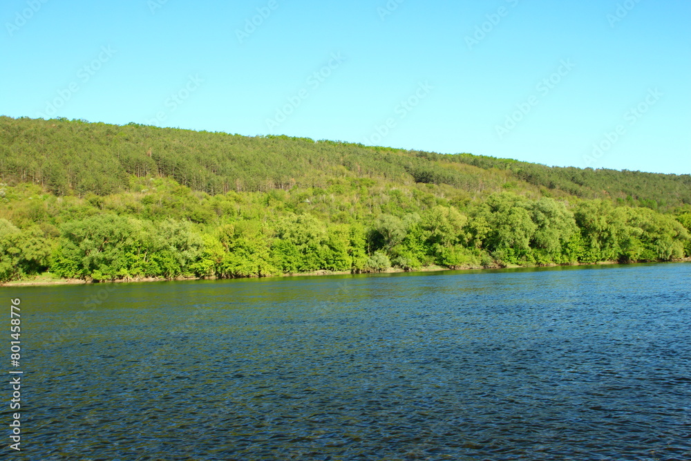 Obraz premium A body of water with trees in the background