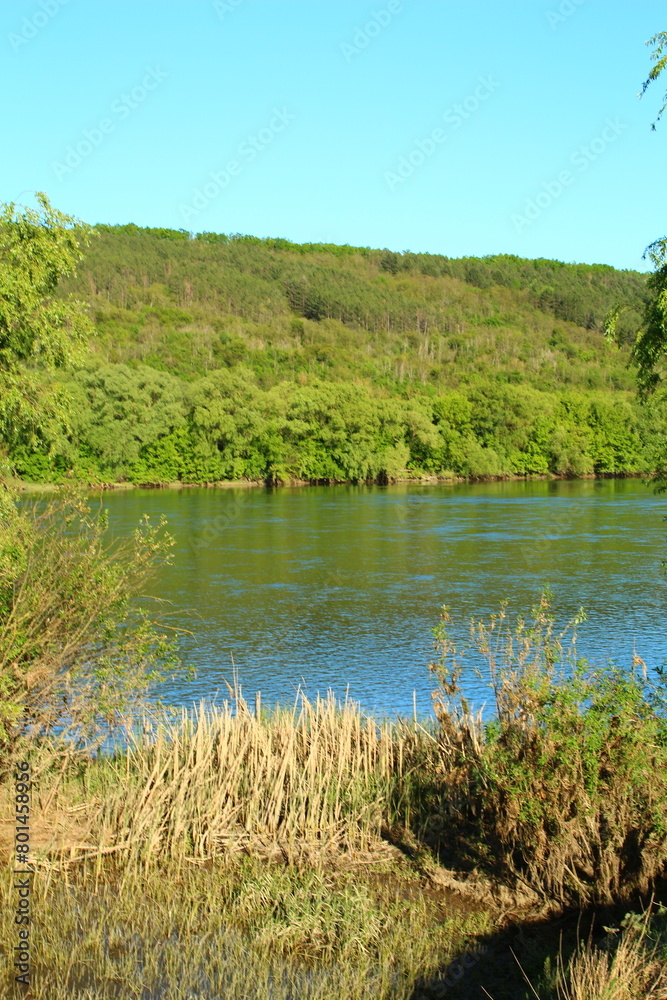 A body of water with trees in the background A body of water with trees in the background