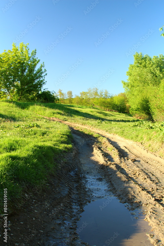 A stream of water with grass and trees on the side A stream of water with grass and trees on the side