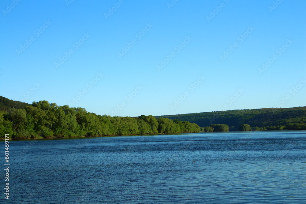 A body of water with trees in the background A body of water with trees in the background