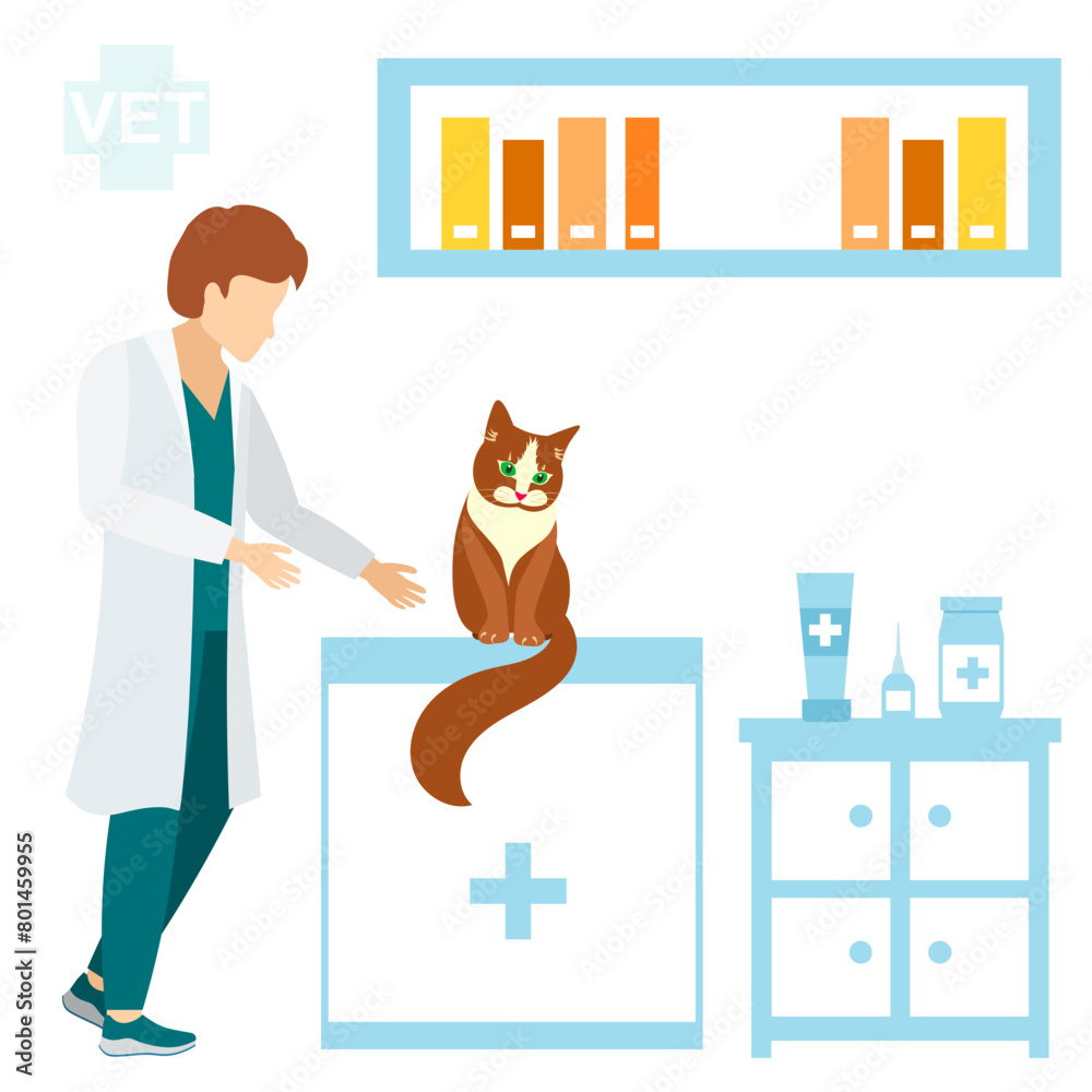 Veterinary. A veterinarian examines a cat in his office. Medical checkup for domestic animal. Diagnostic for pets. Veterinary clinic illustration.