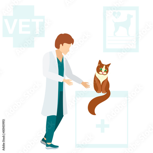 Veterinary. A veterinarian examines a sad cat. Medical checkup for domestic animal. Diagnostic for pets. Veterinary clinic illustration.