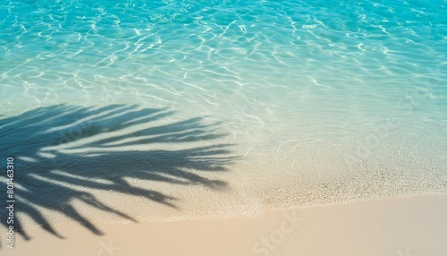 palm leaf shadow on abstract transparent blue water wave from above empty sunny beach background concept for travel vacation and beauty care with copy space