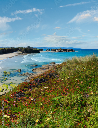 Summer blossoming Atlantic coast and sandy beach Los Castros (Galicia, Spain). Two shots stitch image. © wildman