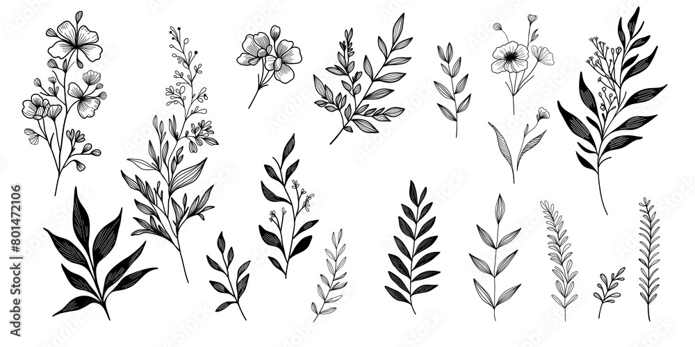hand drawn floral elements. Set botanical illustration. Minimalist plant symbols.