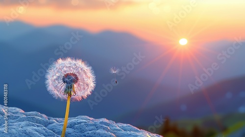   A dandelion blown by wind against a sunset backdrop with mountains in the background