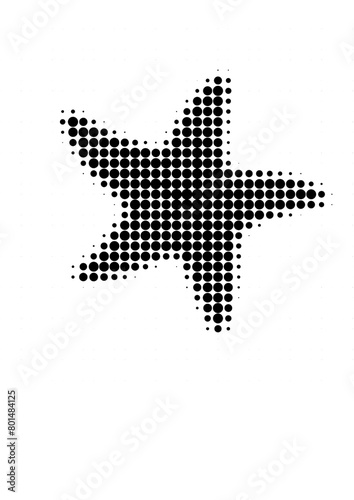 starfish
