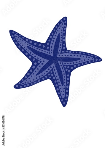 starfish
