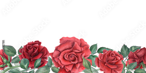 Roses. Horizontal frame with dark red flowers. Summer garden plant. Romantic deep ruby flowers. Watercolor illustration. Copy space for text. For wedding invitation, birthday card, memory day