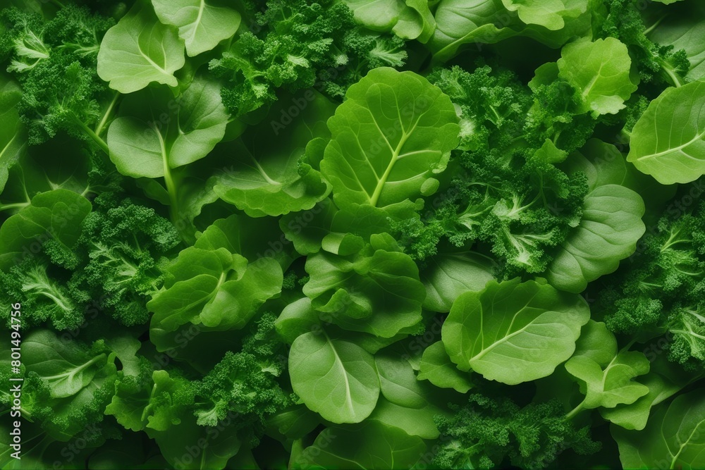 'creative layout made kale salad leaves spinach ruccola green background flat lay food concept macro epicure design eco group lifestyle refreshing mixed mix vibrant agriculture up high freshness diet' 'creative layout made kale salad leaves spinach ruccola green background flat lay food concept macro epicure design eco group lifestyle refreshing mixed mix vibrant agriculture up high freshness diet'