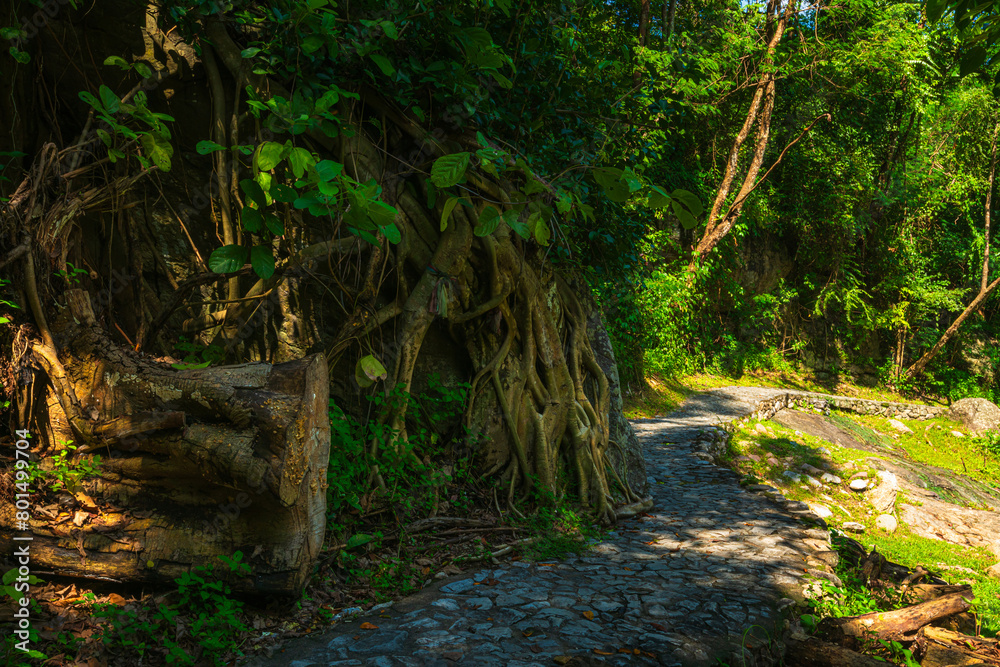 Obraz premium Huai Kaeo waterfall at Huai Kaeo waterfall National Park in tourist attraction with green forest nature in Chiang Mai,Thailand.