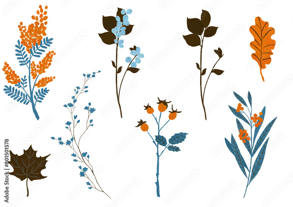 A set of transparent elements on the theme of nature, garden and forest to create a design. Branches, leaves, berries. A set of transparent elements on the theme of nature, garden and forest to create a design. Branches, leaves, berries.