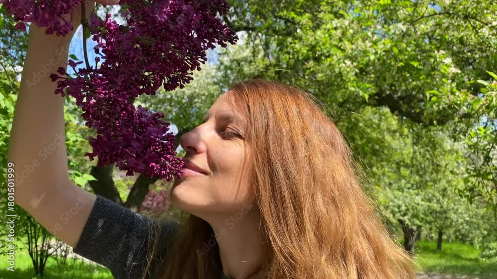 Close-up portrait of a girl sniffing a burgundy lilac in a botanical garden. A beautiful girl among a blooming lilac. Red-haired girl. Long beautiful hair of a woman. Spring flowers. Camera zooms in