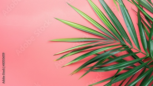 Palm leaf on pink. Generative AI