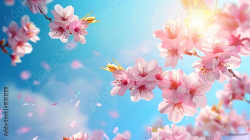 A serene nature background featuring a blossoming branch of pink sakura flowers, symbolizing renewal and beauty © Chingiz