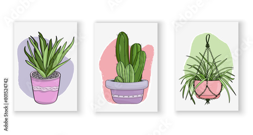 A collection of hand-drawn posters depicting domestic plants. Bright posters depicting succulent, cactus, palm trees in cartoon style. Vector illustrations for printing, posters, postcards, decoration
