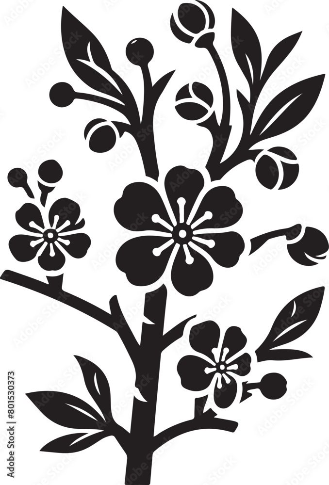 black and white flower black and white flower